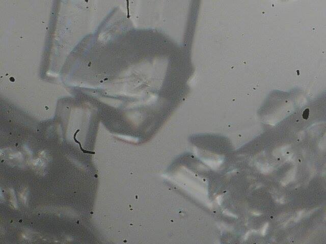 19149382_10155439427869628_3001826660008916314_n